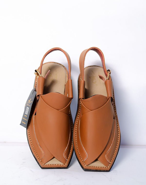 Z Zalmi camel color